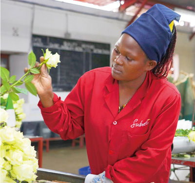 為非洲實現現代化創造機遇——訪肯尼亞總統魯托談苗木種植