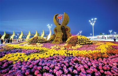 花卉博覽會(huì)的魅力與苗木種植的藝術(shù)